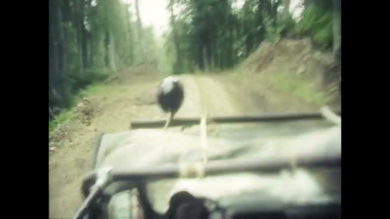 00июля 20какоготогода