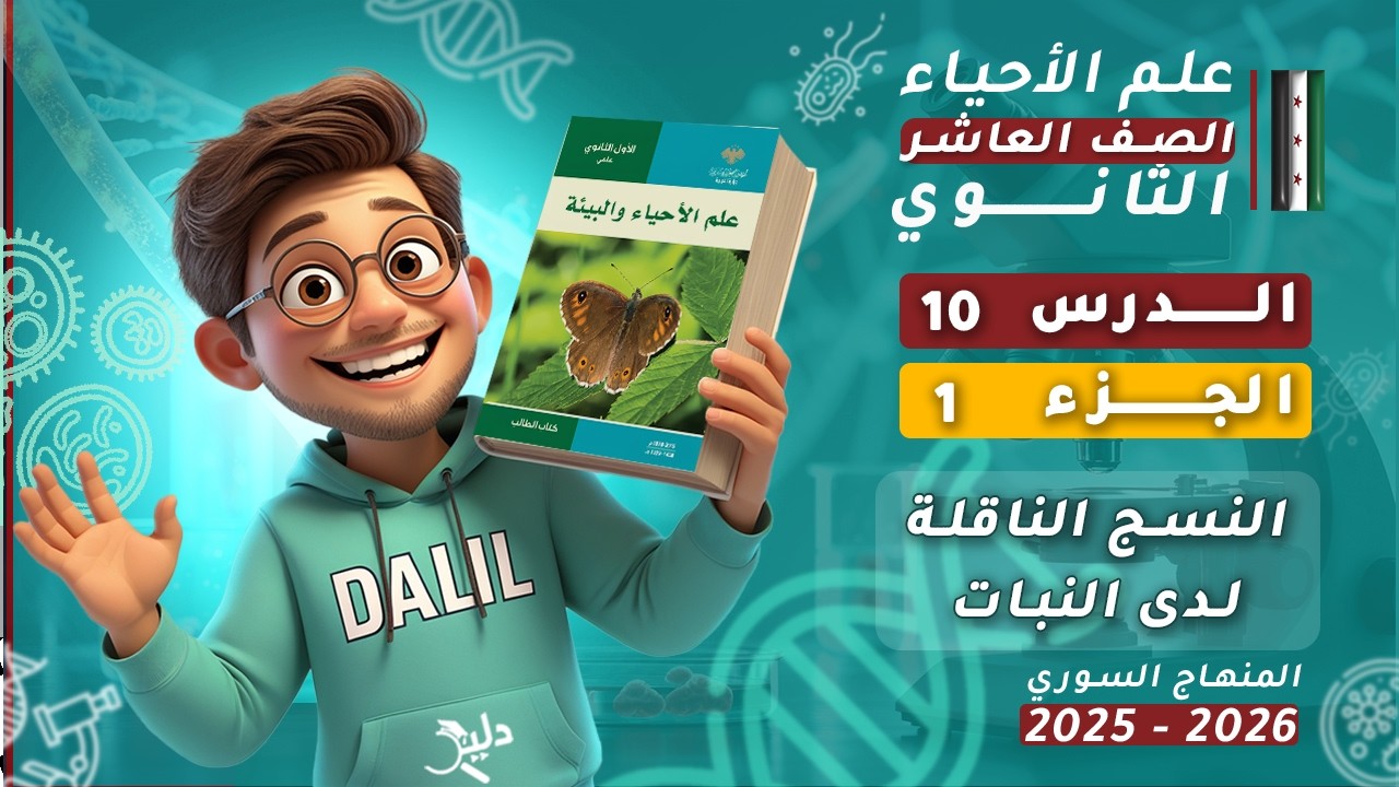 النسج الناقلة لدى النبات 🌿 الدرس 10 الجزء 1️⃣ علم الأحياء والبيئة (علوم) الصف العاشر📘 المنهاج السوري