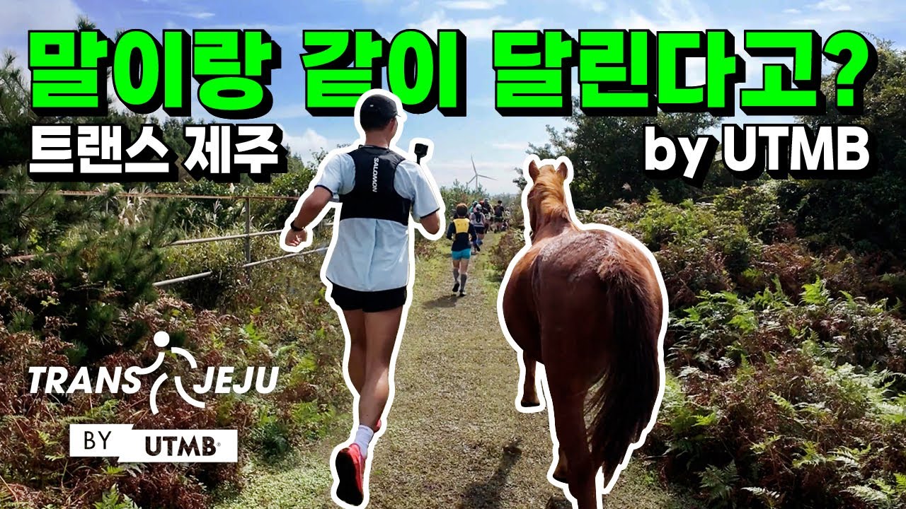말이랑 같이 달린다고? 트랜스 제주(Trans Jeju by UTMB)  I 송PD가 간다