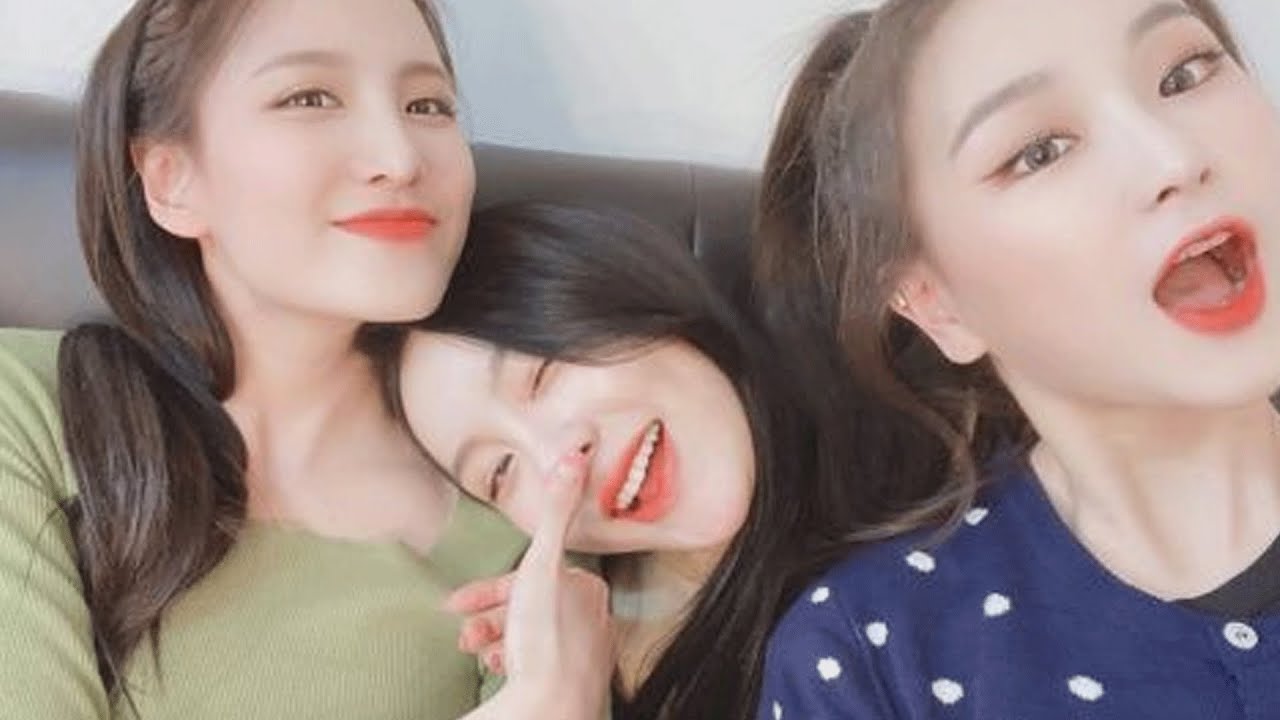 bvndit are a mess