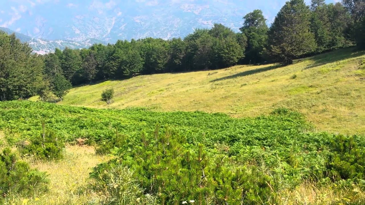 Αναπαράσταση από την μάχη του 1940 στο ύψωμα του π
