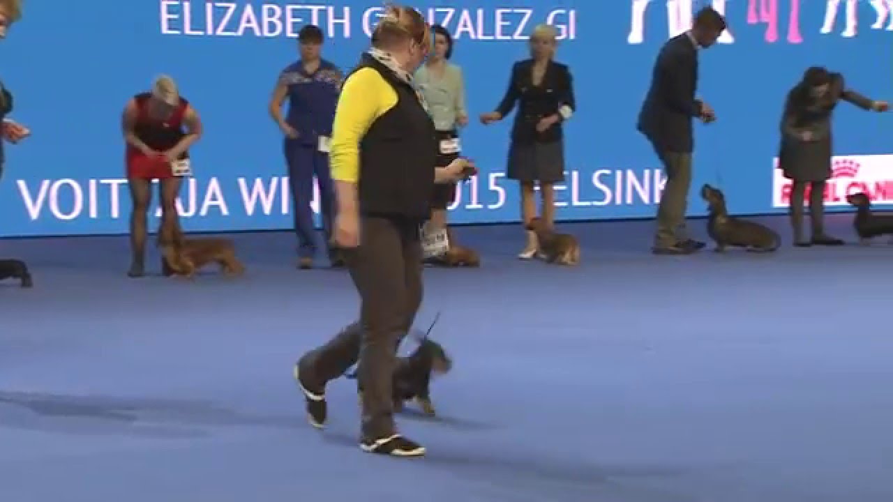 Voittaja 2015 - FCI 4