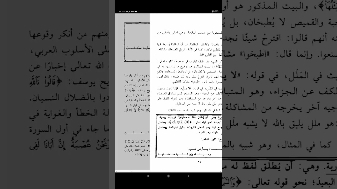 البلاغة الميسرة - البديع - التورية والاستخدام