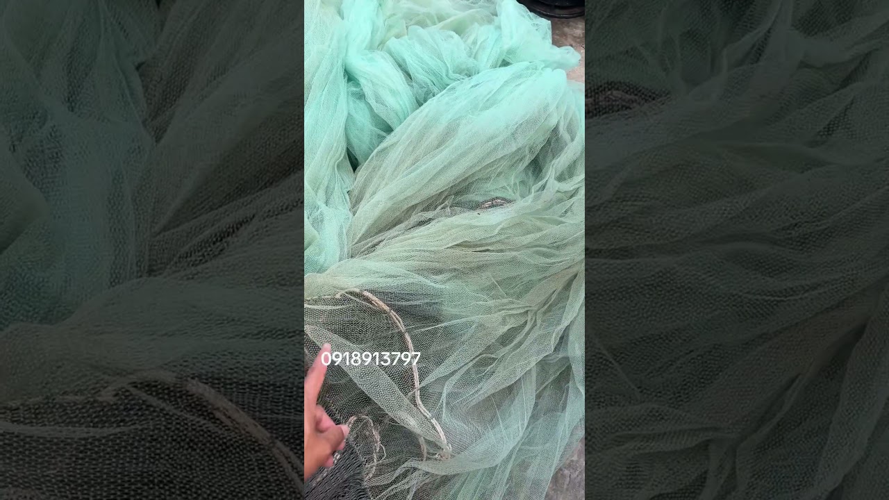 Lưới m&agrave;nh chụp #shorts