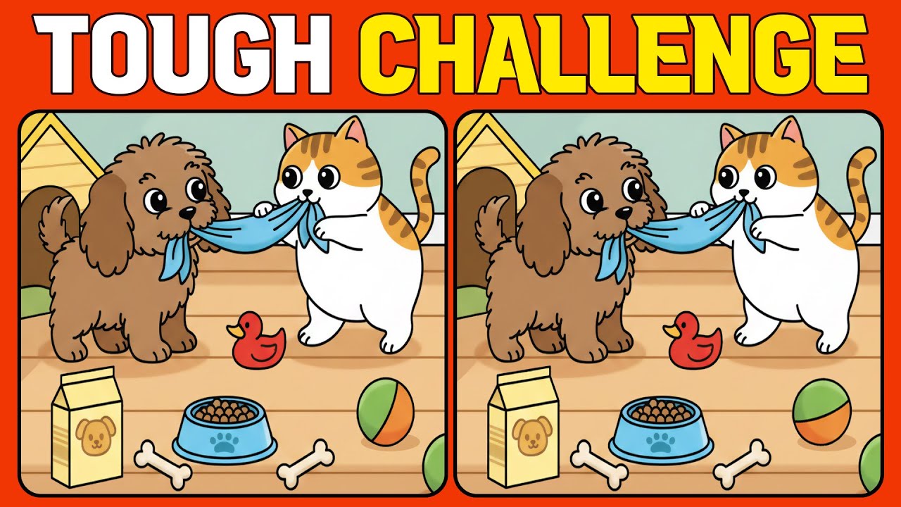 Tough Challenge Spot the Differences, 5 Puzzles, 15 Differences (Hard Mode)