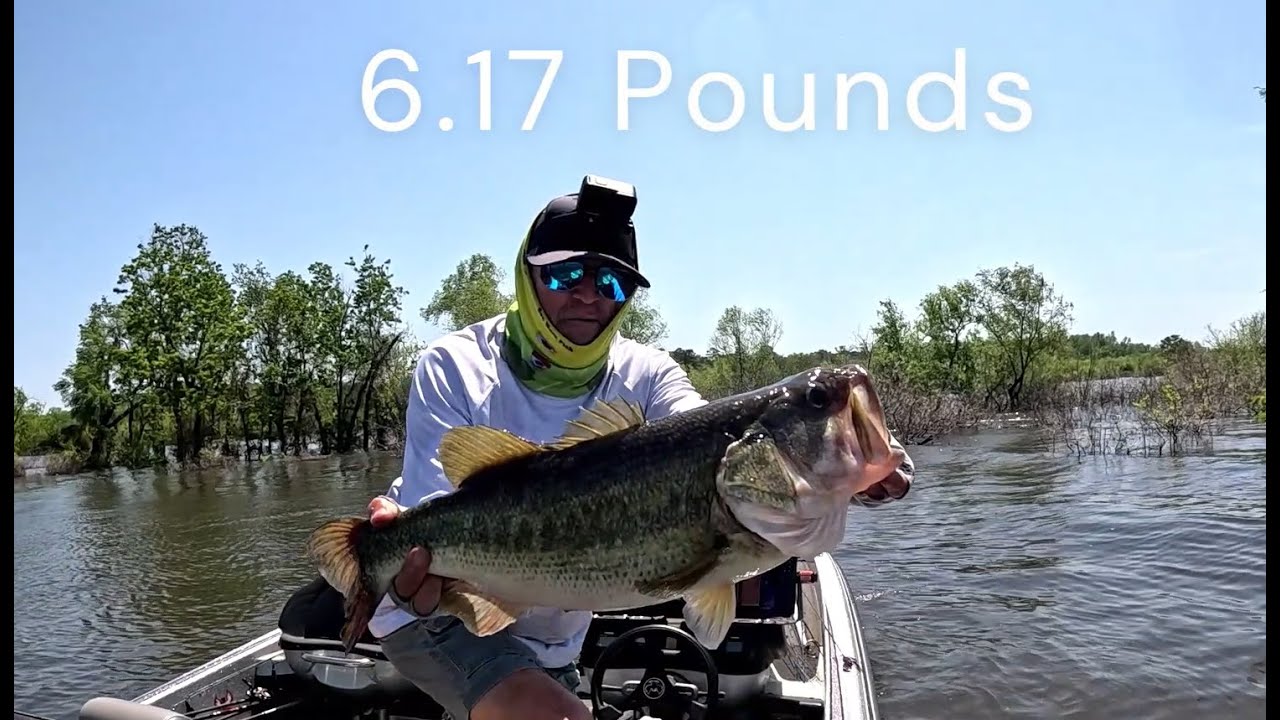Bass Fishing 202-Lesson 27: Hit the Flooded Brush!