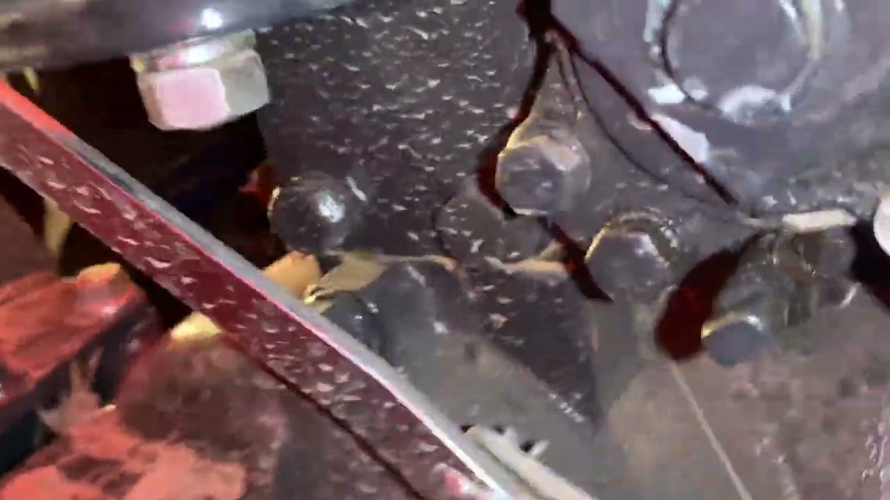 Frustrating 3 point hitch problem