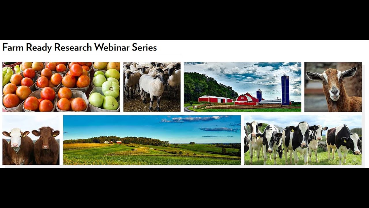 Direct Marketing Meat and Introduction to Meat Suite