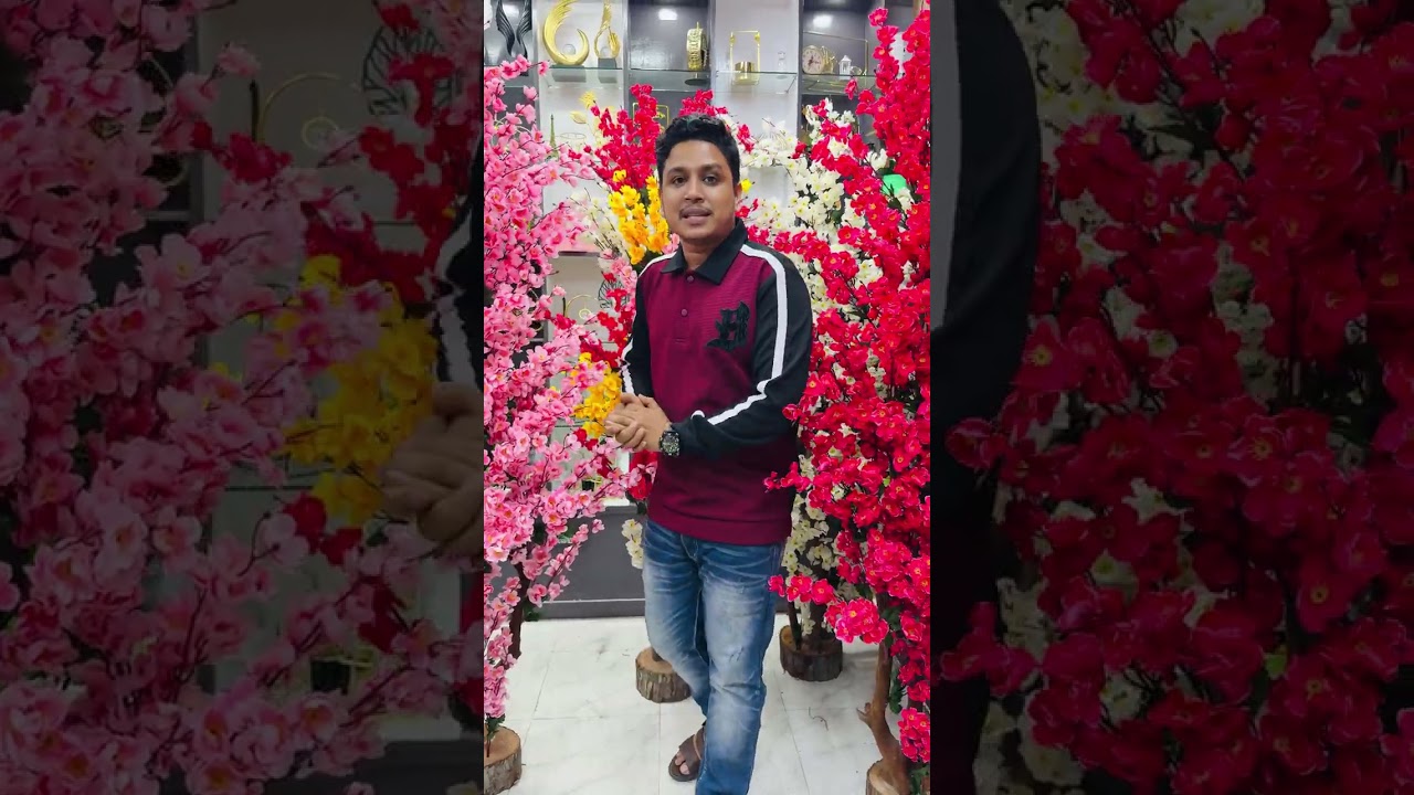  চেরি ফুল গাছ কিনুন পাইকারী দামে✅ 