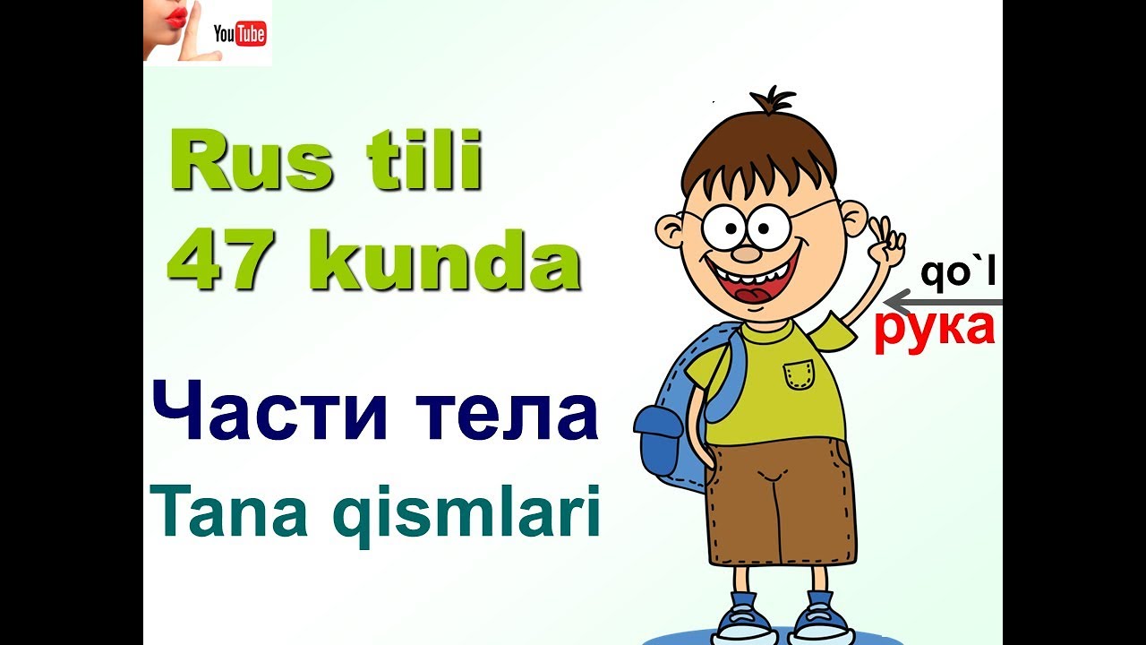 Rus tilida tana a'zolari