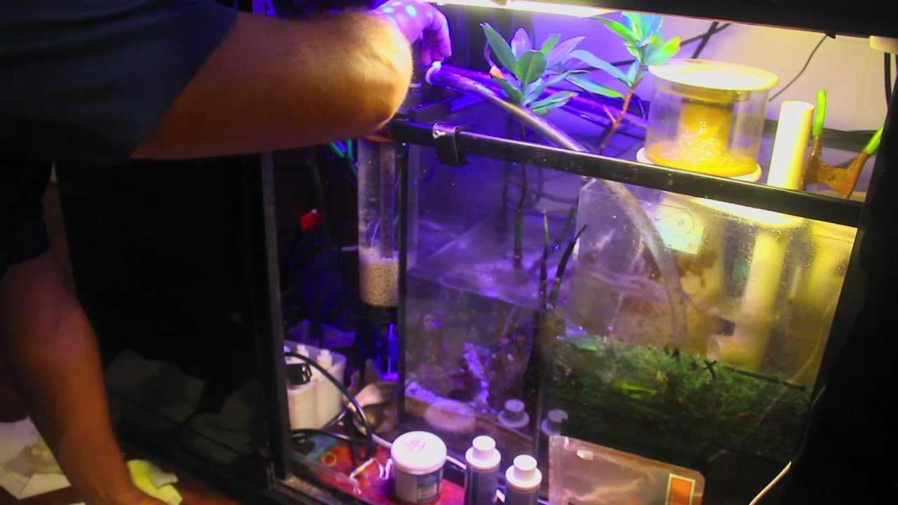 Phosban Reactor tips