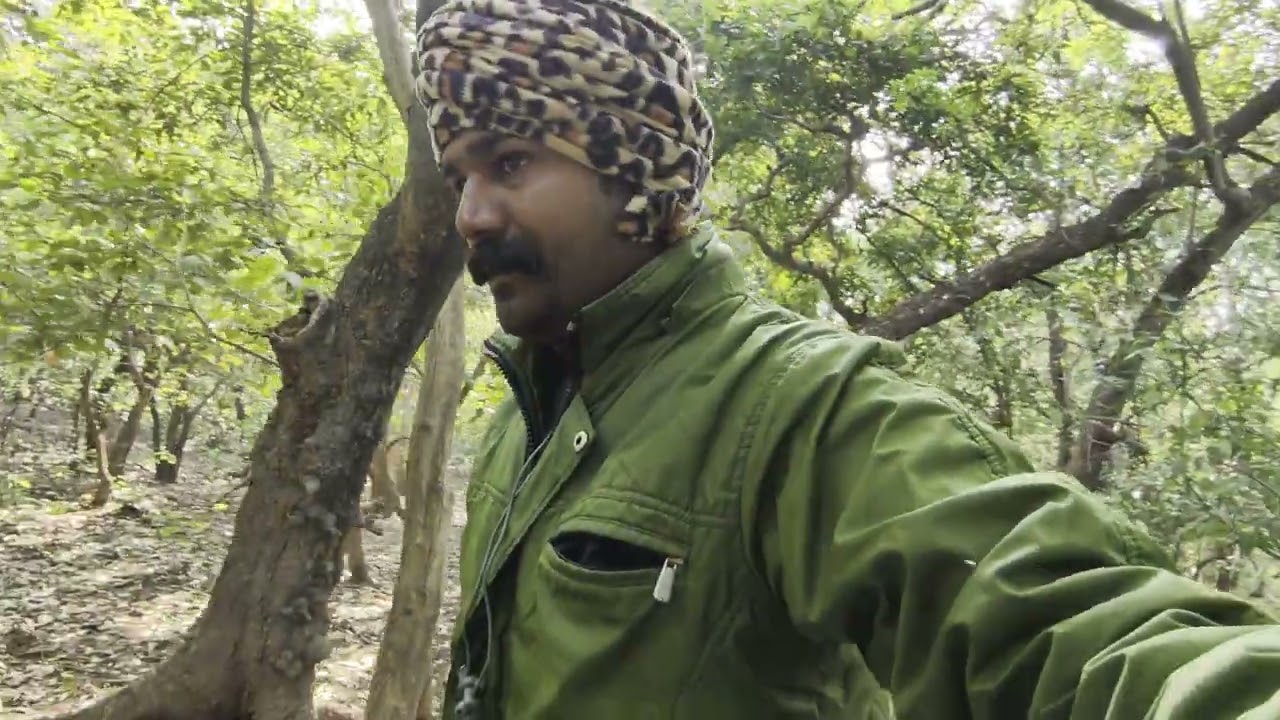 Welcome in forest #vlog #youtube 