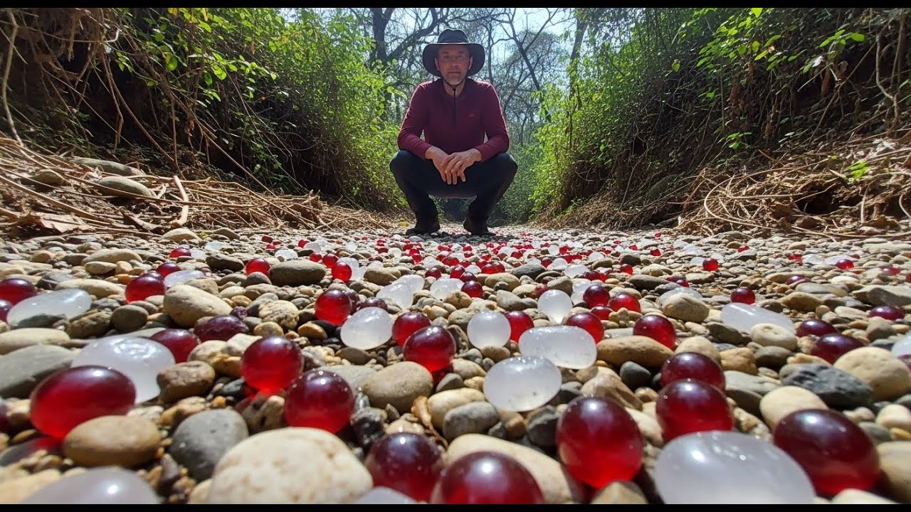 OMG, river flows over smooth, shiny rocks, picking up many beautiful red rubies along long canal