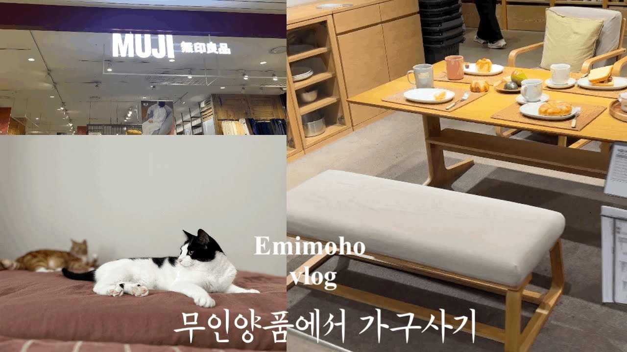 무인양품에서 가구사기/식탁 풀셋트/일체형침대SD사이즈/고양이다섯마리와 사는 집