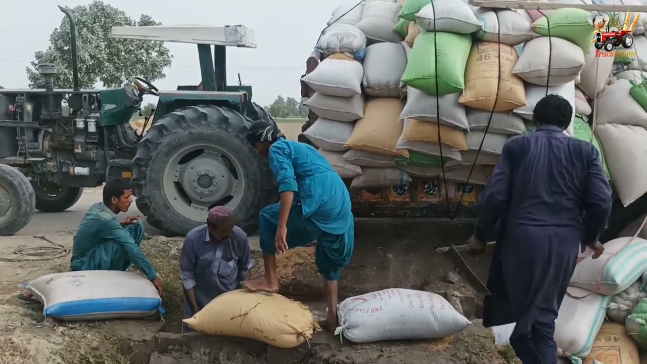 گندم کی ٹرالی پانی میں الٹ گئی ۔ بہت نقصان ہوگیا🥲#Tractorzone