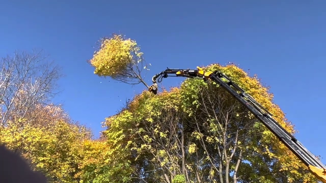 GMT TTC grapple saw in action on 92’ Effer 505