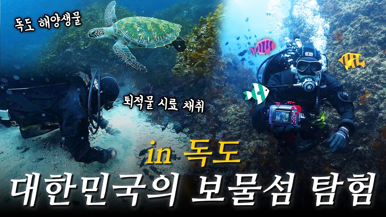 해양생태계의 보물섬 독도 바닷속 탐험! 이 맛에 일합니다!