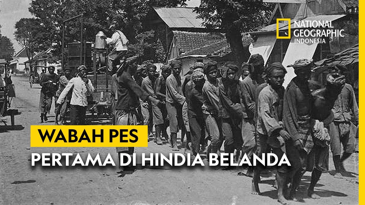 Cerita Kacaunya Wabah Pes Pertama di Hindia Belanda