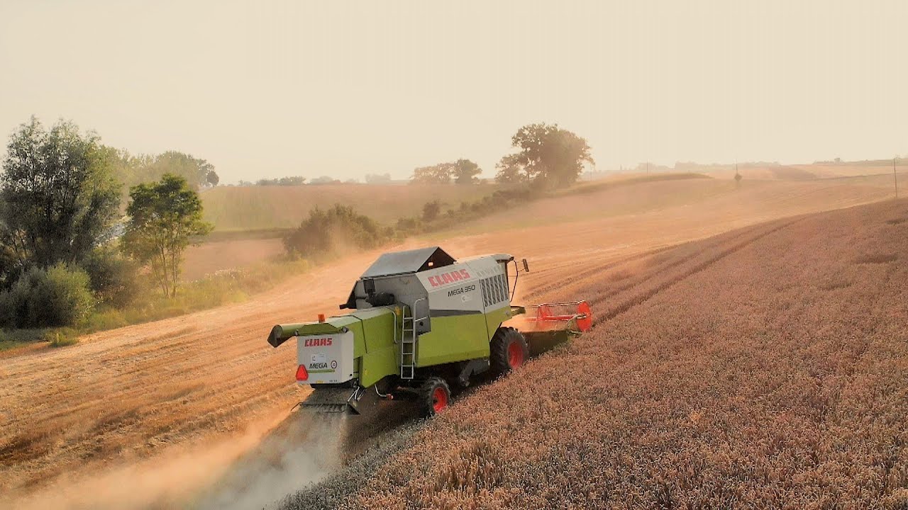 Żniwa 2020 Pszenica Claas Mega 350