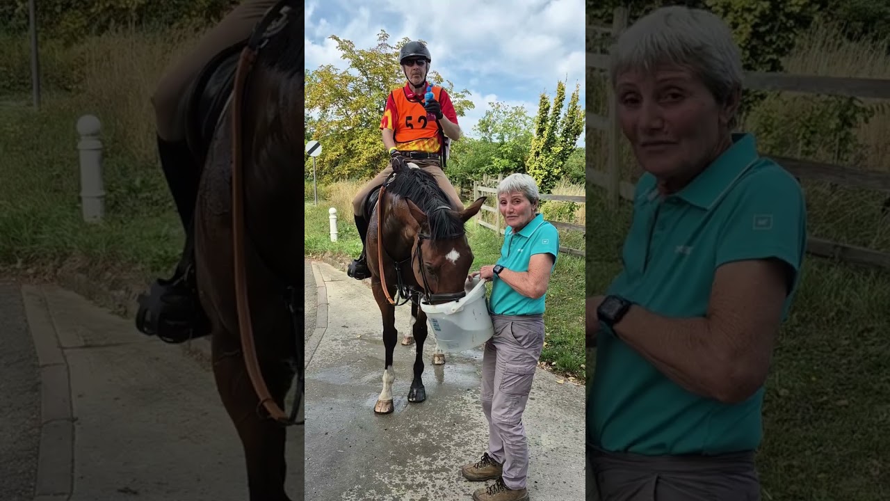 Pops and Bean have a grand day out at Three Shires Cromwell EnduranceGB 