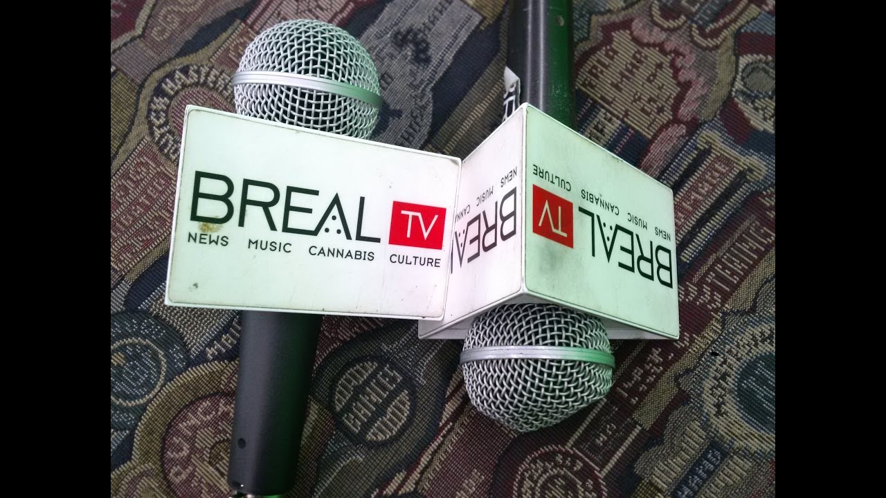 artisan canna cigar roach (all wedding cake, flower, rosin, hash ) spray420 at brealtv
