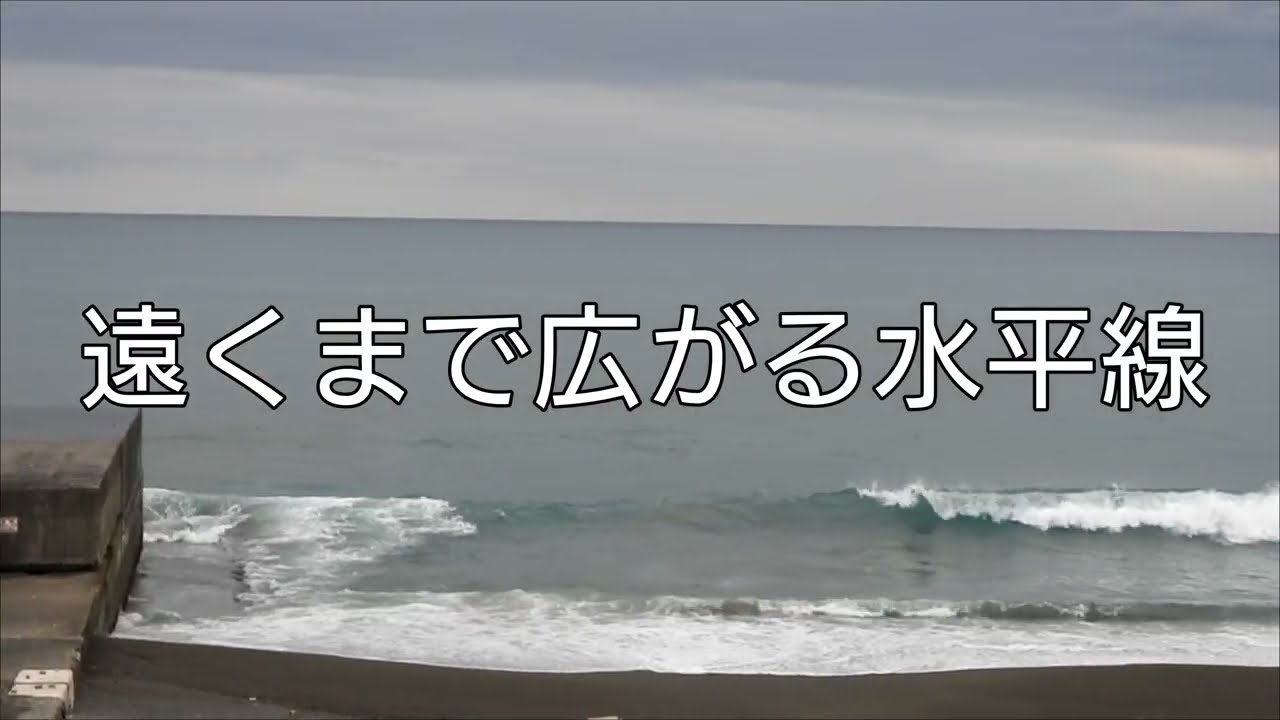 香我美駅前海岸に来る野鳥たち