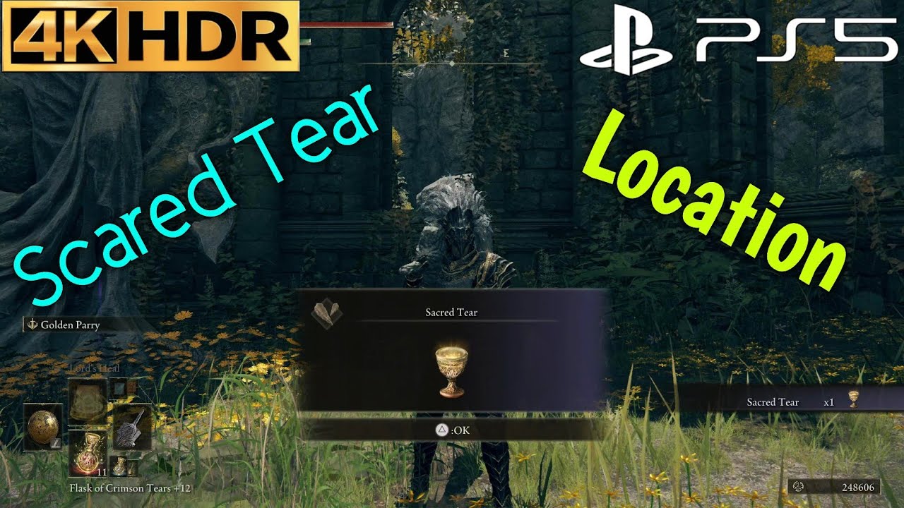 How to Get Scared Tear ELDEN RING Gameplay Walkthrough Scared Tear Location PS5 4K 60FPS HDR