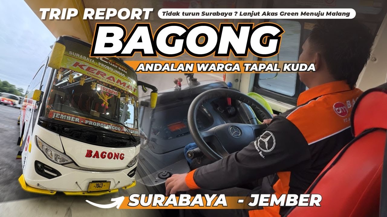 Tarif Tertib Ala Bagong Josss Bikin Primadona Warga Jember dan Sekitarnya 50rb Jember-Surabaya