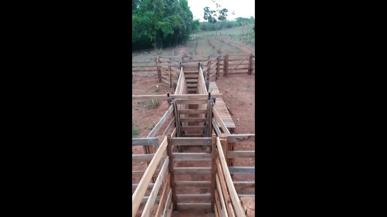 CONSTRUÇÃO DE MANGUEIRA. (curral)