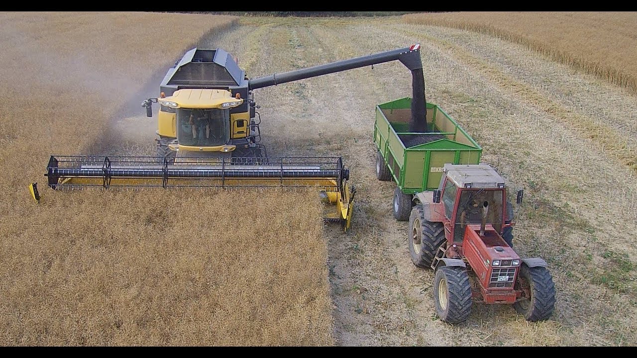 Raps Dreschen mit New Holland CR 980, IHC 1455 XL,  21.07.218, Barmissen