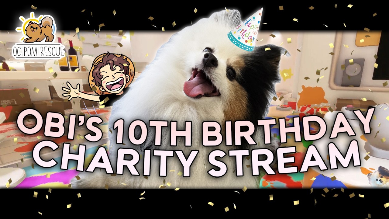 RogersBase Plays Doronko Wanko (OC Pom Rescue Charity Stream)