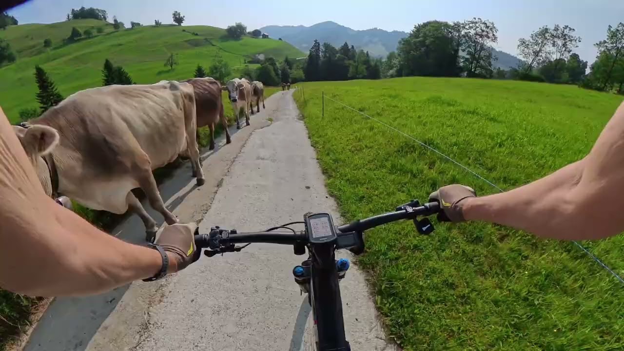 Farner Alp