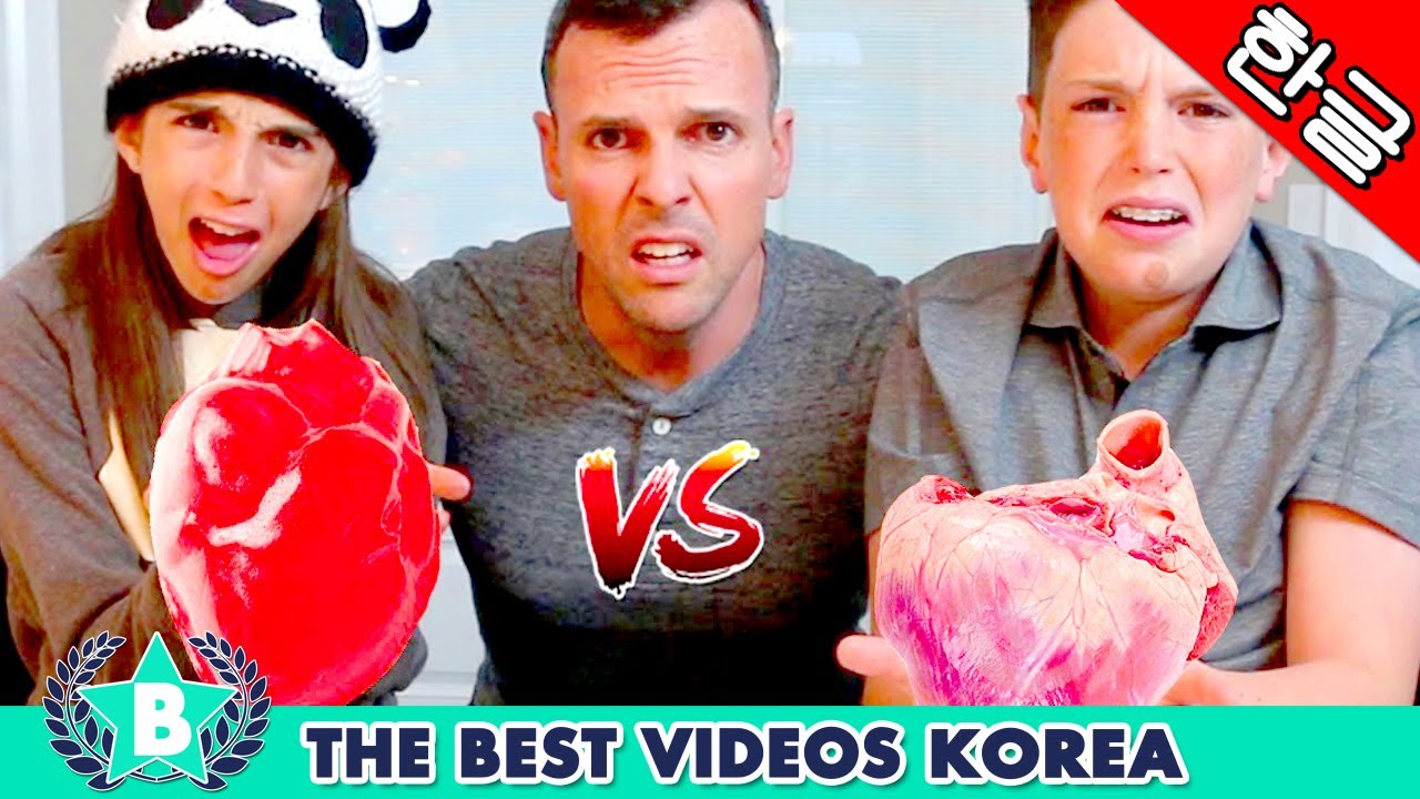 🔴 웃긴 가족 에비 패밀리 18편 - 젤리 먹방 2탄 [한글자막] Eh Bee Funny Videos Compilation Part18 | Korean Subtitle