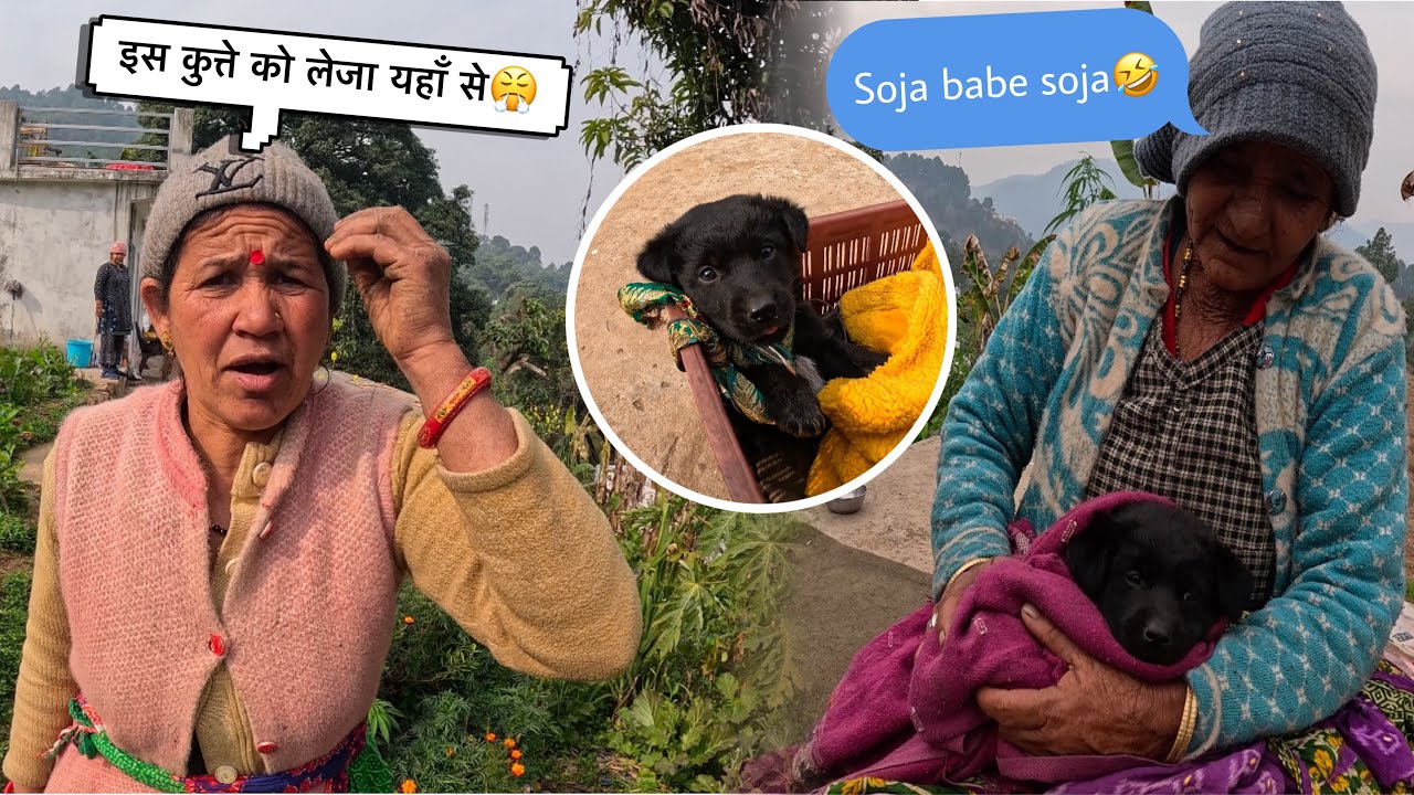 घर मैं आया नया Dog😍।इस बच्चे के वजह से रात भर जागी रही मम्मी🥲।Pahadi lifestyle vlog 
