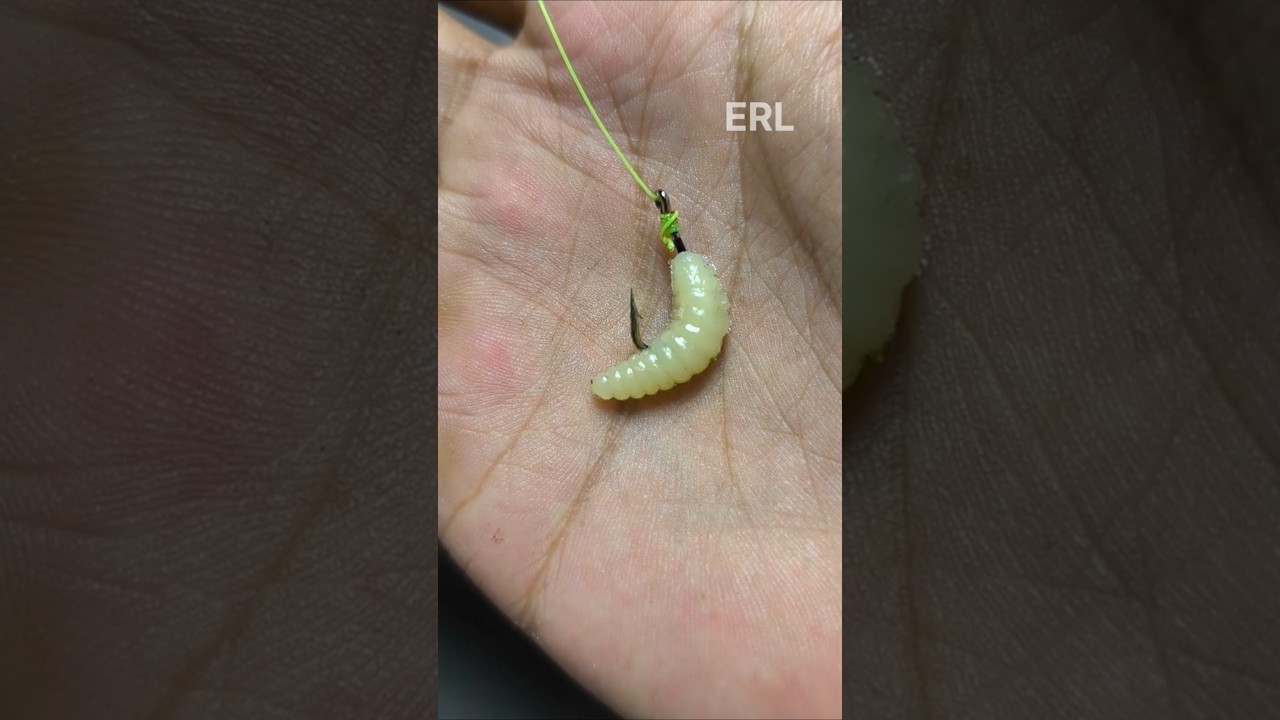 How to Put Bait on a Hook 