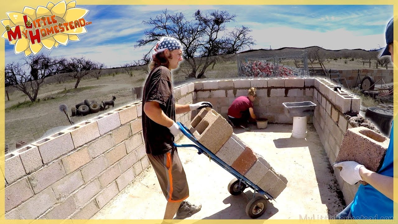 Outbuilding Grows, Kitchen Cabinet Sink, Checking Beehive Honey & Shae Returns! | Weekly Peek Ep178