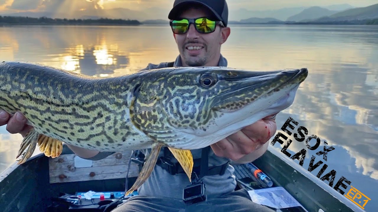 ESOX FLAVIAE - Pesca a Spinning al LUCCIO ITALICO - PIKE FISHING