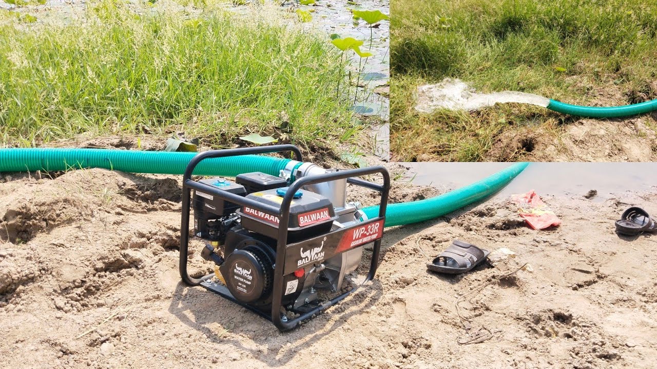 BALWAAN WP 33R ఫుల్ గా water వస్తున్నాయి@Ashok.farming #balwaan