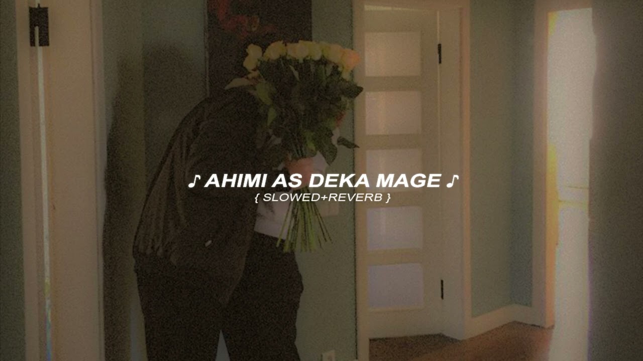 අහිමි ඇස් දෙක මාගේ (slowed+reverb)