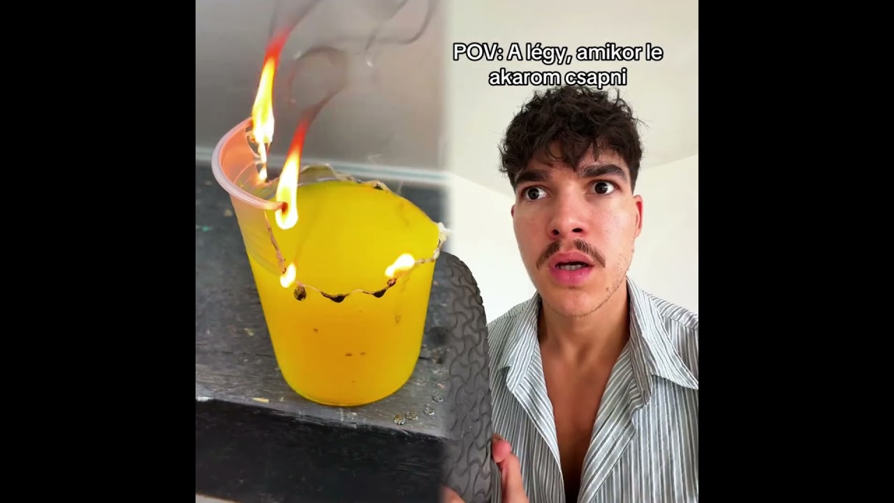 Vicces pillanat a term&eacute;szetből🤭#comedy #humor #amuzant #pov #vicces #&aacute;llatok #viral #magyar #hungary
