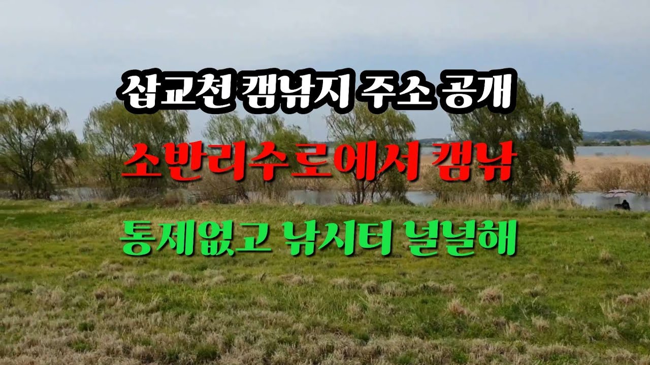 [삽교호 캠낚지 주소 공개]  합덕읍 소반리수로에서 캠낚, 통제없고 널널한 캠낚 공간#붕어낚시 #민물낚시 #수로낚시 #캠핑낚시