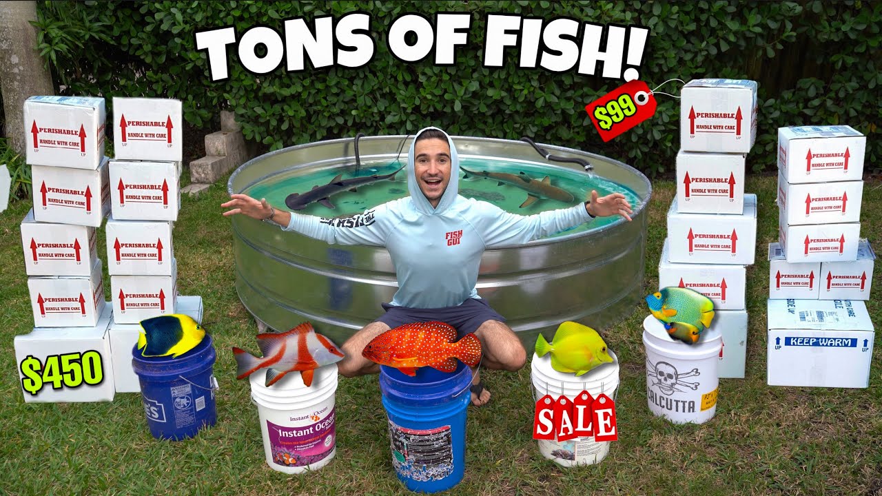 I Bought EVERY FISH from the Fish Store!!