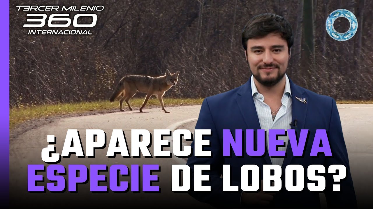 &iquest;Una Nueva Especie Animal aparece? &iquest;De qu&eacute; se trata? 🚨