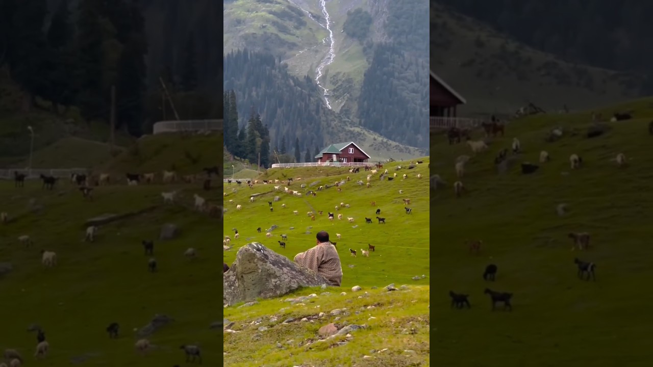 The Hidden Gems of Kashmir