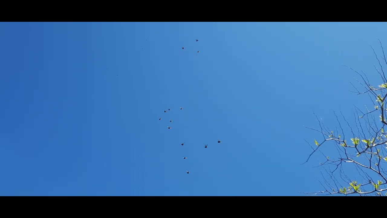 22 мая 2025 г.