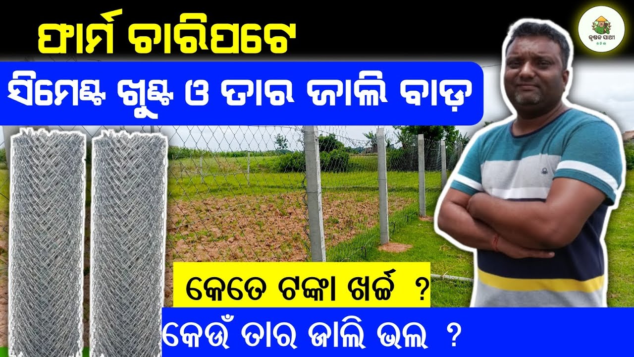ଫାର୍ମ ଚାରିପଟେ ବାଡ଼ ଦେଲେ କେତେ ଖର୍ଚ୍ଚ? Chain link fence| low budget fencing || Farm fencing solution