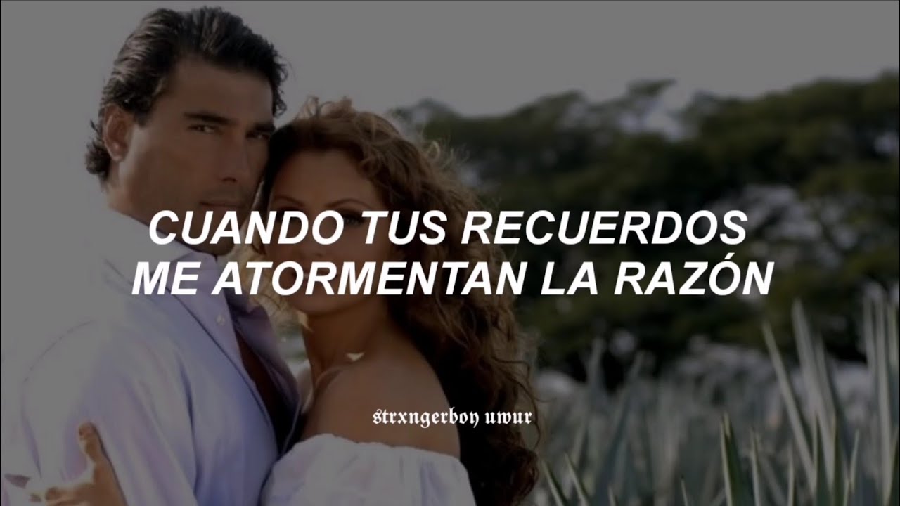 Angelica Rivera - Ay Gaviota [Letra] || Destilando Amor
