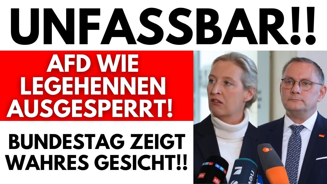 🚨EILMELDUNG !! PLÖTZLICH WILL REGIERUNG  AFD WEGSPERREN!!😱