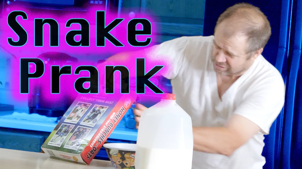 Dad Finds Snake In Cereal