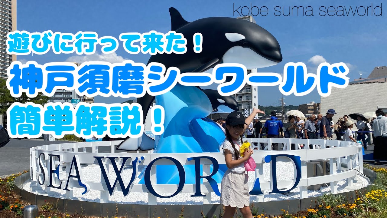 神戸・須磨シーワールド【神戸】【水族館】【関西】遊びに行ってきたよ！【家族、子ども連れ】【夏休み】【お出かけ】